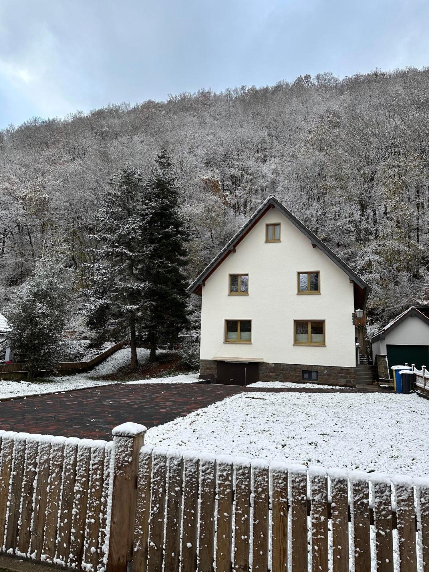 Ferienhaus Ginkgo Biloba Malsbenden المظهر الخارجي الصورة
