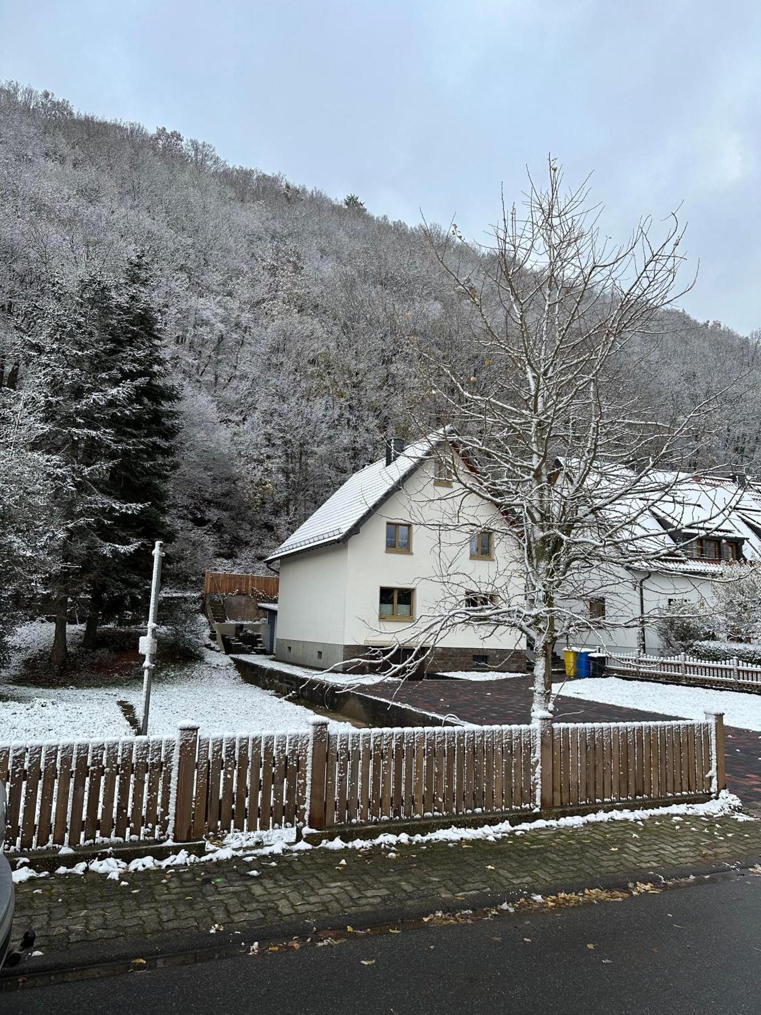 Ferienhaus Ginkgo Biloba Malsbenden المظهر الخارجي الصورة