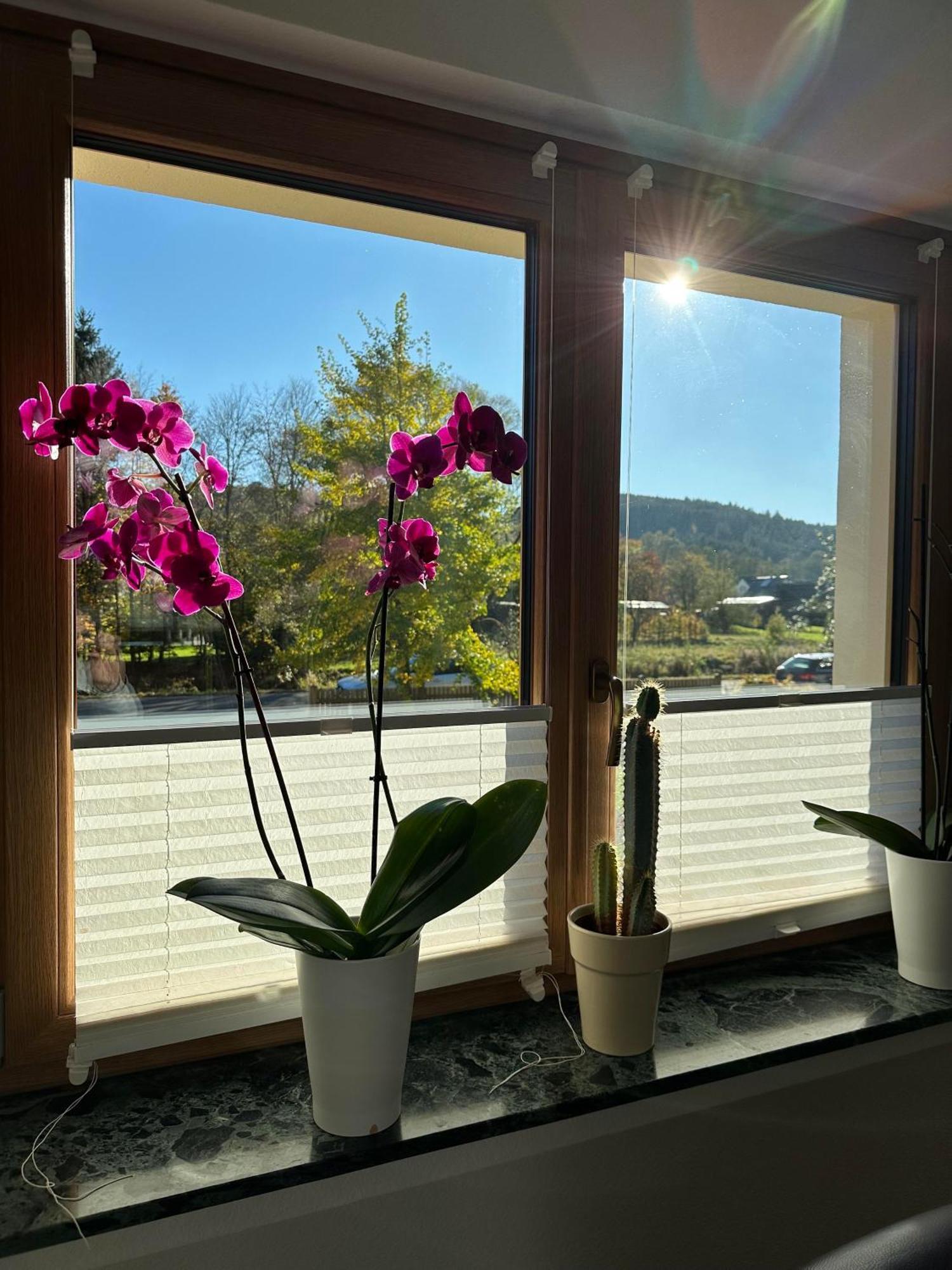 Ferienhaus Ginkgo Biloba Malsbenden المظهر الخارجي الصورة