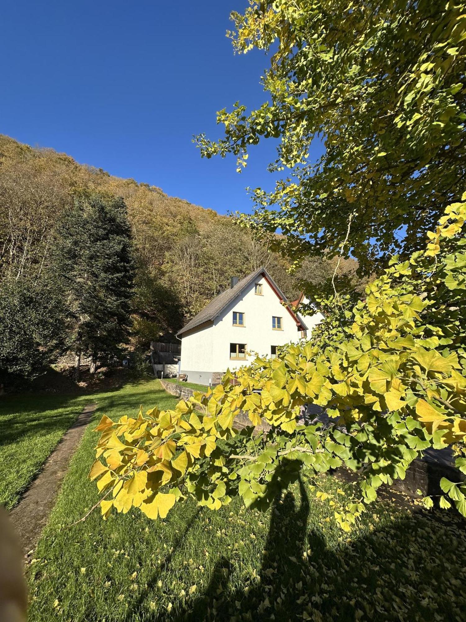 Ferienhaus Ginkgo Biloba Malsbenden المظهر الخارجي الصورة